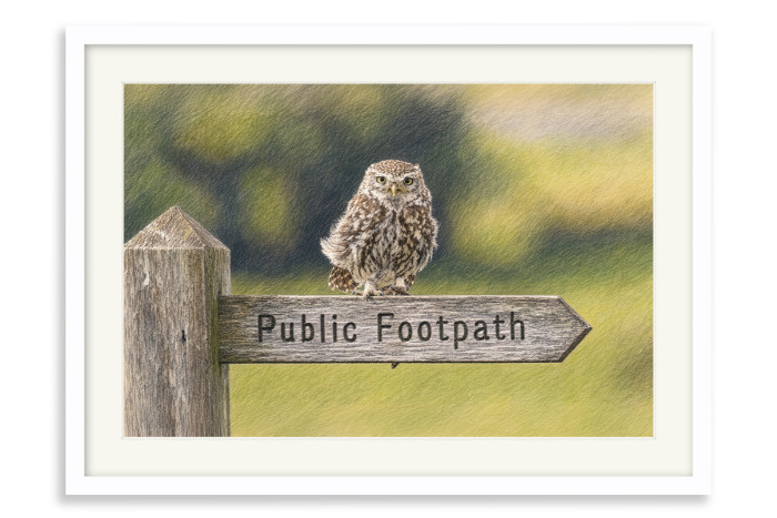White Frame A4 -  21 x 29.7 cm (+£125.00)